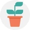 Education Plant