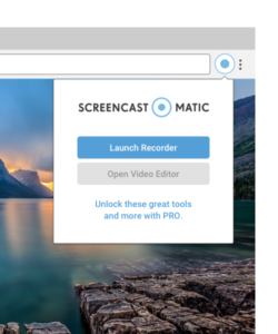 chrome browser extension