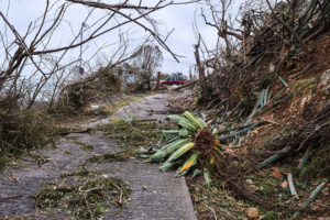 disaster in caribbean